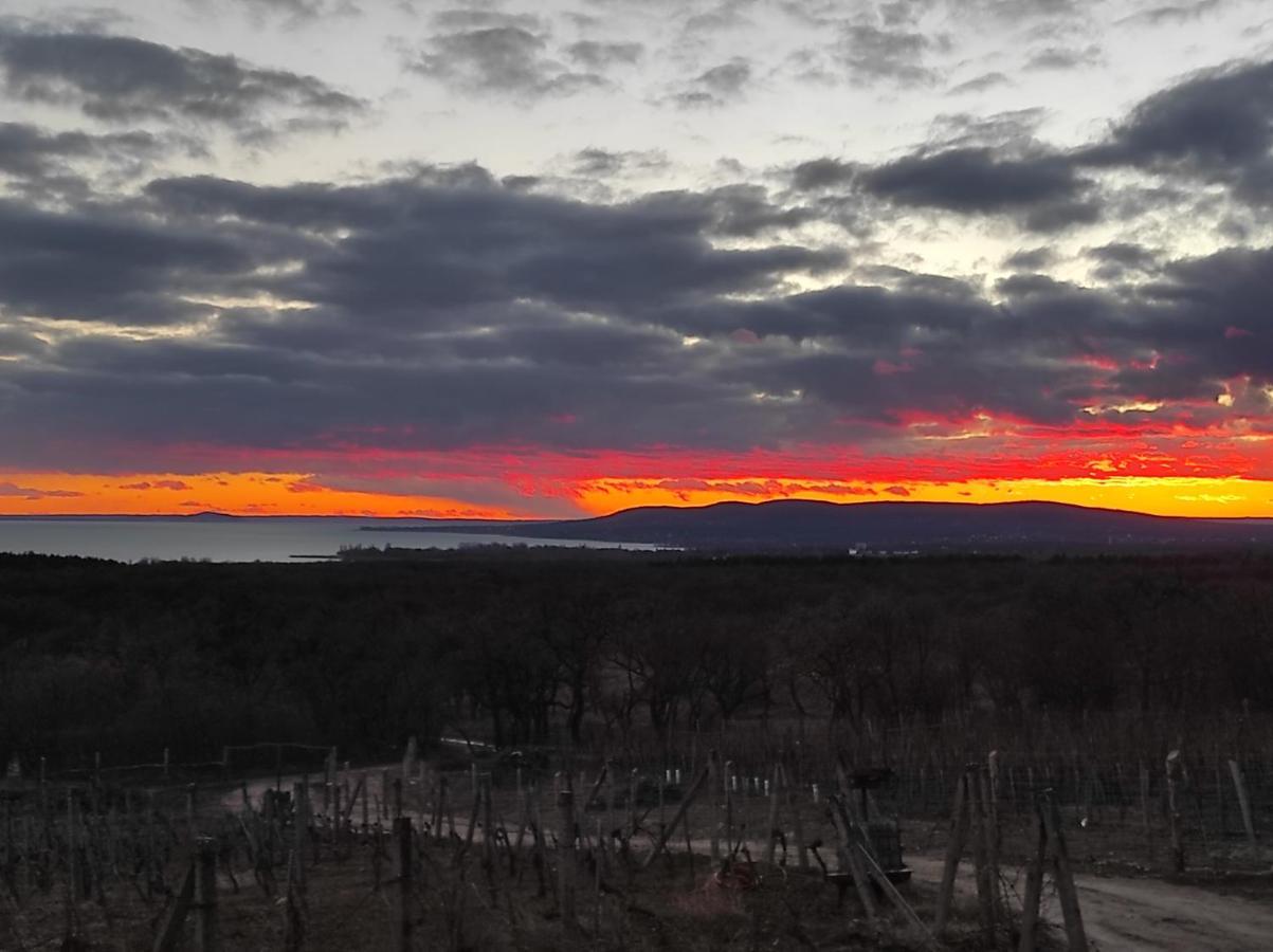 Napraszallas Vendeghaz Balatonakali Bagian luar foto
