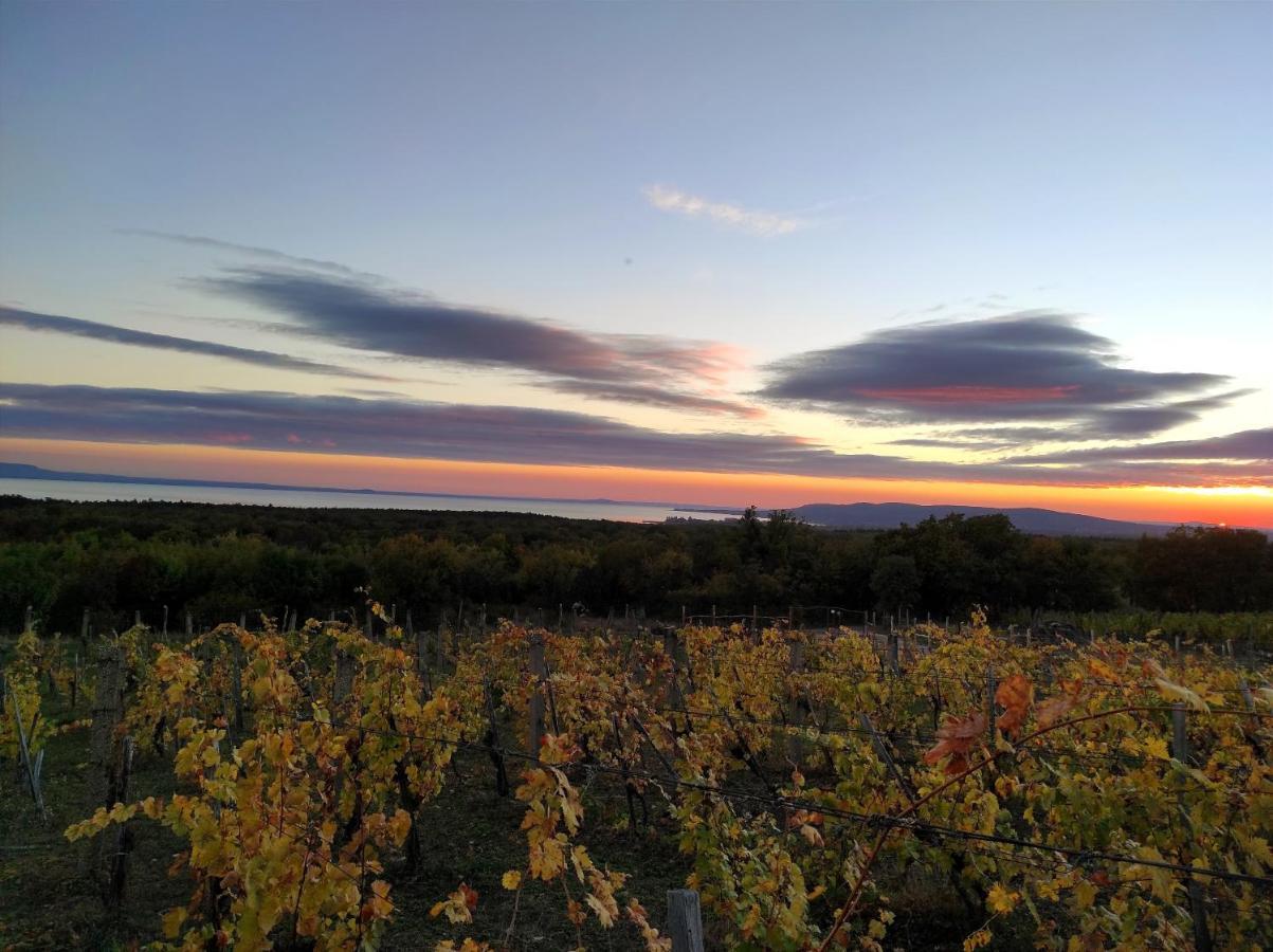 Napraszallas Vendeghaz Balatonakali Bagian luar foto