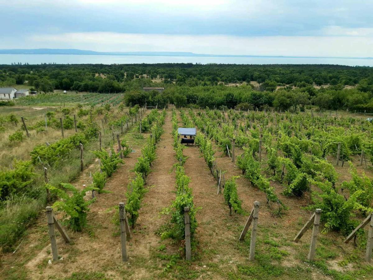 Napraszallas Vendeghaz Balatonakali Bagian luar foto