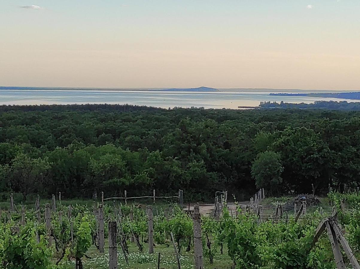 Napraszallas Vendeghaz Balatonakali Bagian luar foto