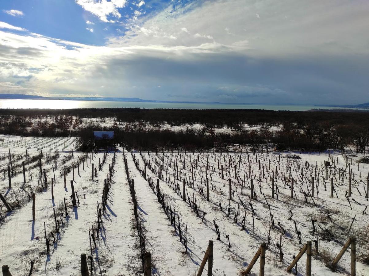 Napraszallas Vendeghaz Balatonakali Bagian luar foto
