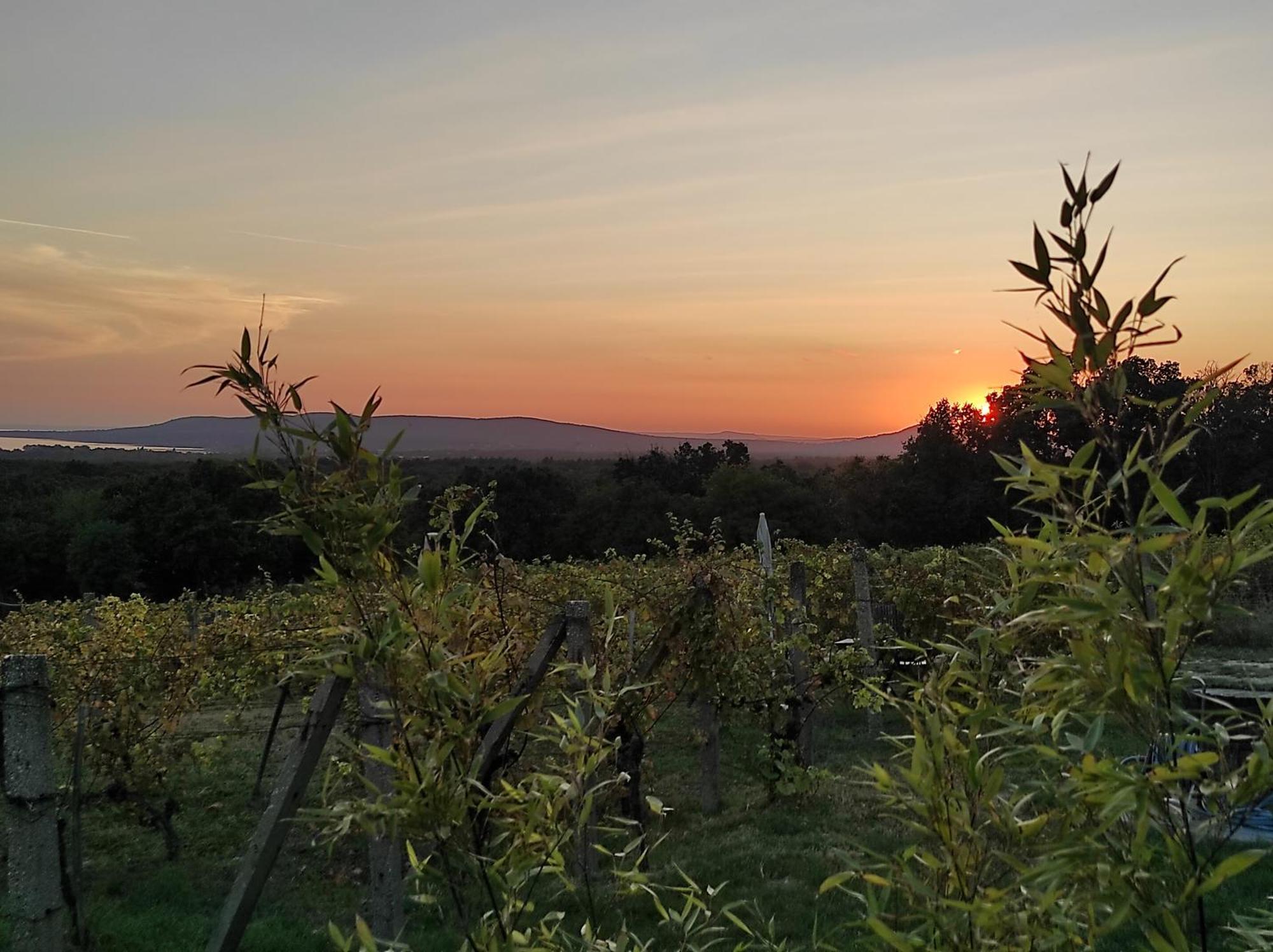 Napraszallas Vendeghaz Balatonakali Bagian luar foto