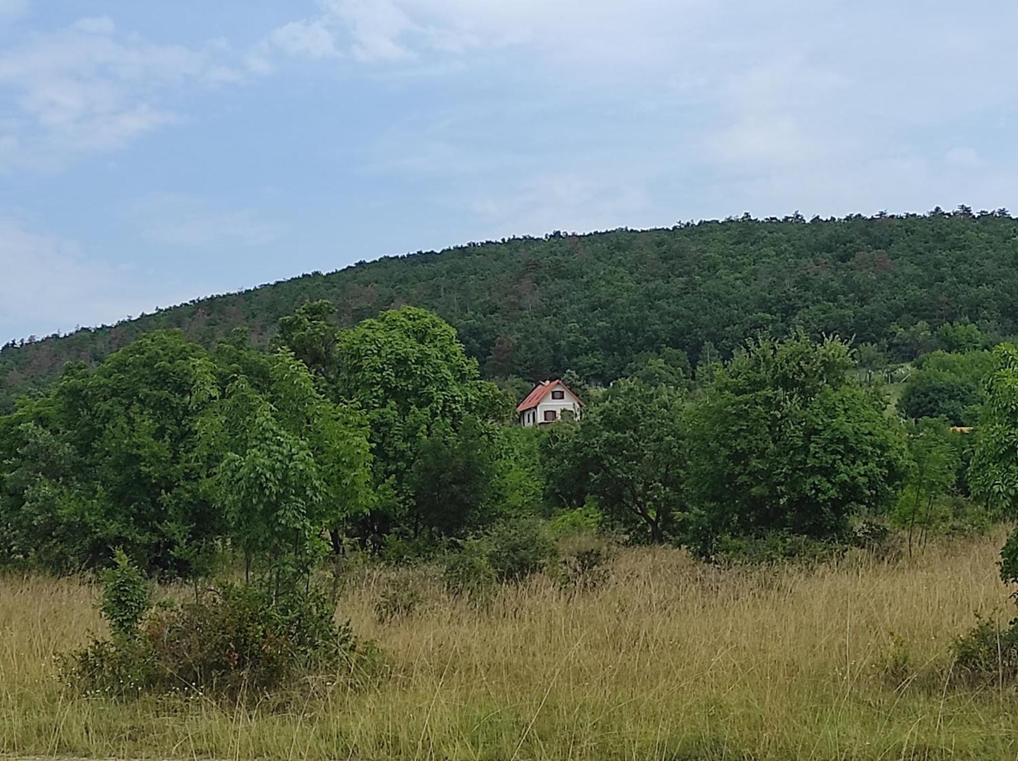 Napraszallas Vendeghaz Balatonakali Bagian luar foto