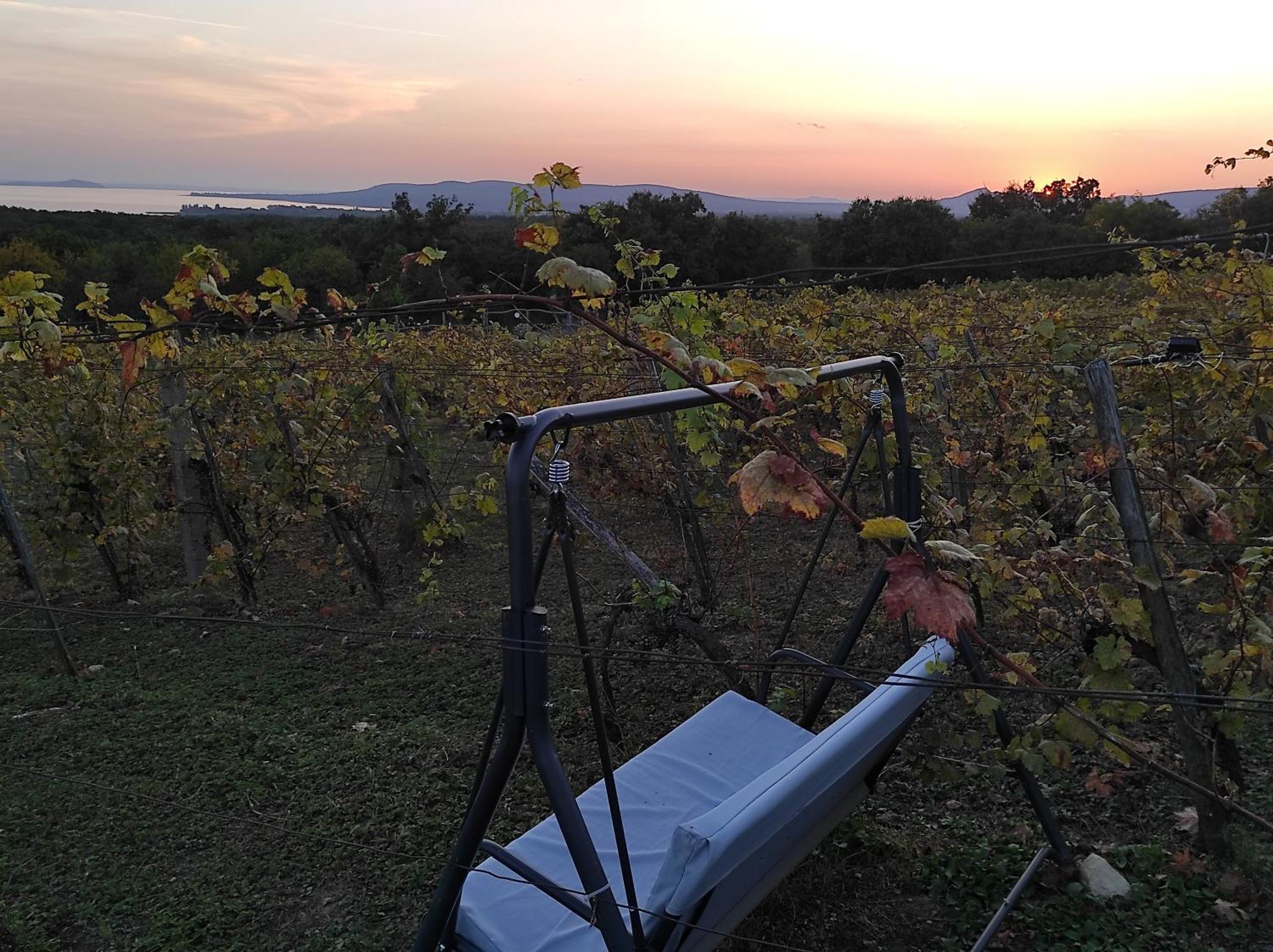 Napraszallas Vendeghaz Balatonakali Bagian luar foto