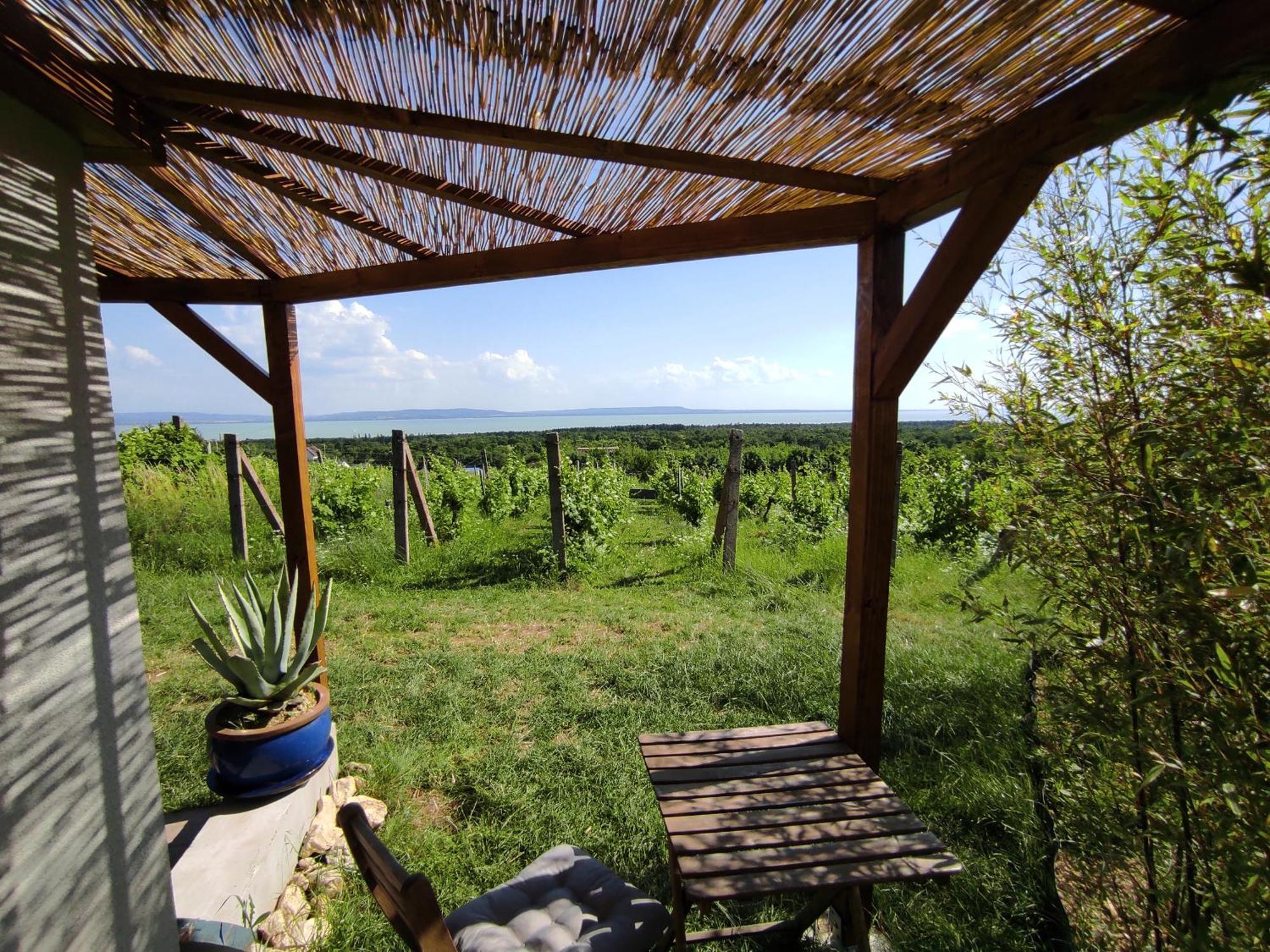 Napraszallas Vendeghaz Balatonakali Bagian luar foto